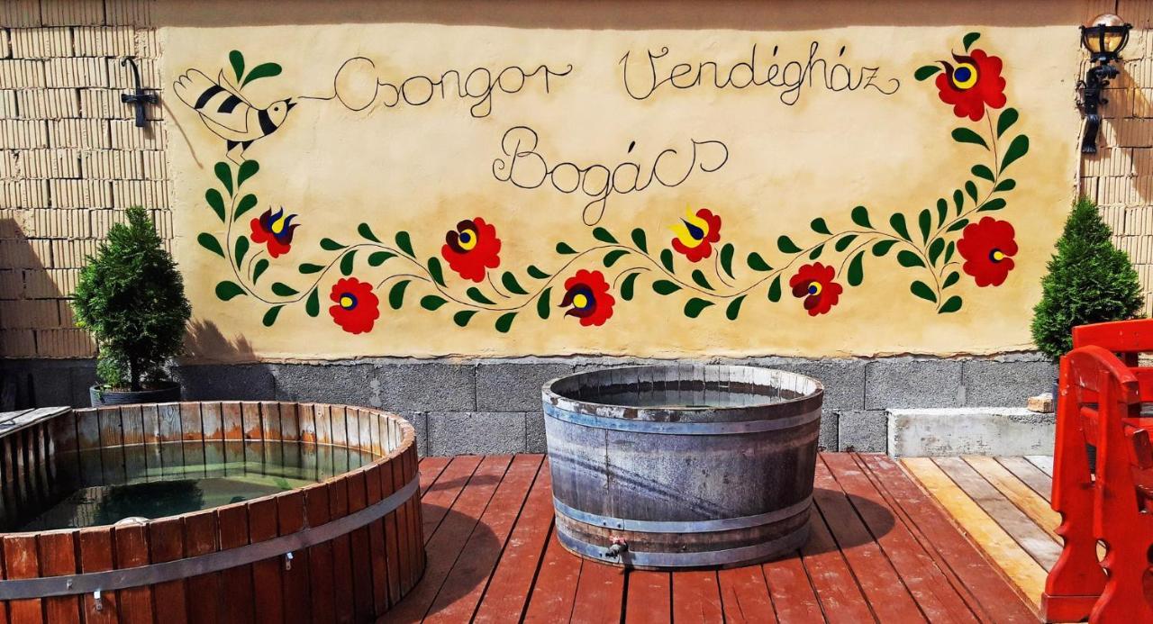 Vila Csongor Vendeghaz: Bogács Exteriér fotografie